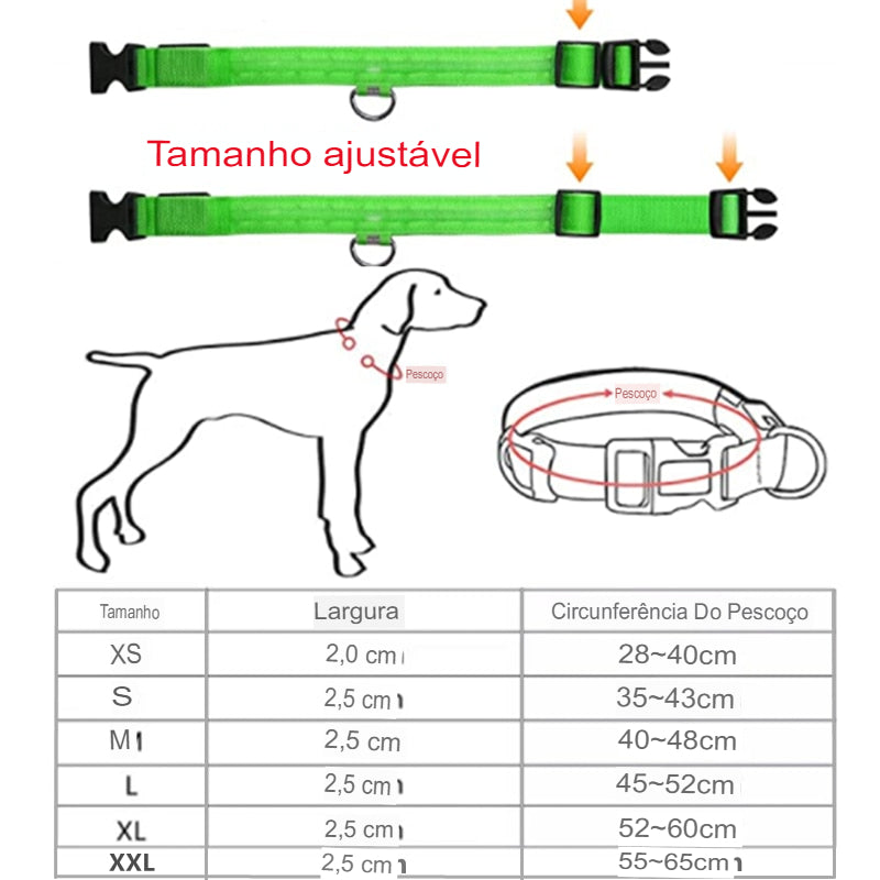 Coleira brilhante ajustável de LED - Legacy Street