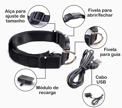 Coleira brilhante ajustável de LED - Legacy Street