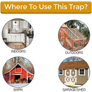 Ratino - Armadilha Inteligente Para Rato - Shop Da Fábrica