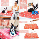 🐶 Cantinho do Xixi Especial de Absorção Rápida 🐱 - Shop Da Fábrica