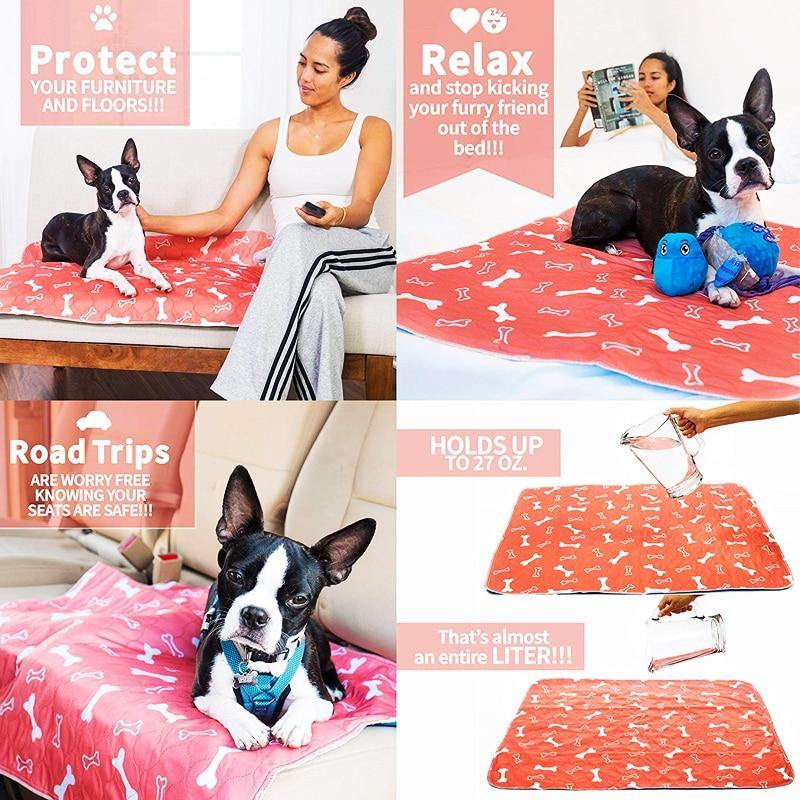 🐶 Cantinho do Xixi Especial de Absorção Rápida 🐱 - Shop Da Fábrica